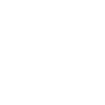 INS3